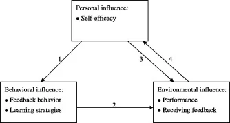 Social cognitive model connecting personal self-efficacy, behaviour and environmental feedback.